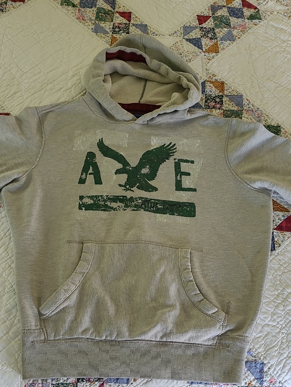 Y2k American Eagle Outfitters Eagle Fleece Pullover Hoodie